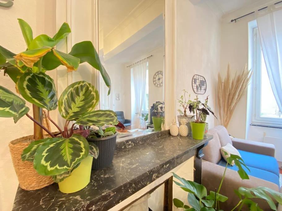 Le Jardin Secret De Nady Apartment Carcassonne Luaran gambar